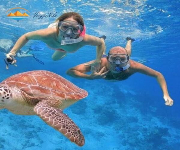 Abu Dabbab Snorkeling da Hurghada ViaggiNilo