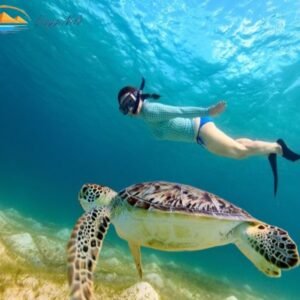 Abu Dabbab Snorkeling da Hurghada ViaggiNilo(1)