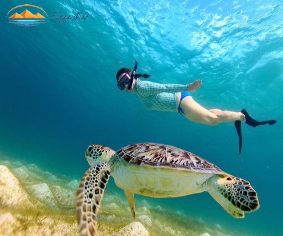 Abu Dabbab Snorkeling da Hurghada