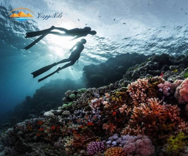 Abu Dabbab Snorkeling da Hurghada ViaggiNilo(2)