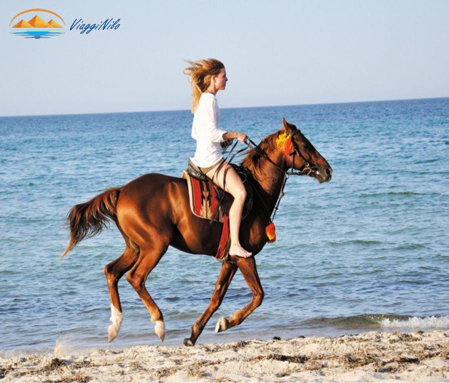 Escursione a Cavallo a Sharm El Sheikh