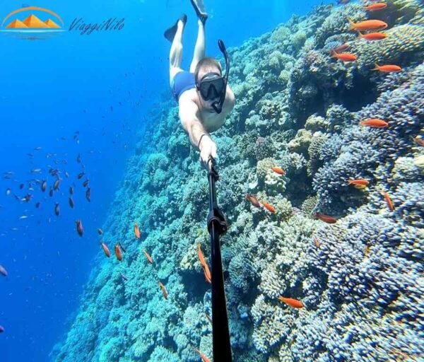 Giornata al Blue Hole e Dahab da Sharm El Sheikh . snorkeling Blue hole viagginilo Buco blu a Dahab