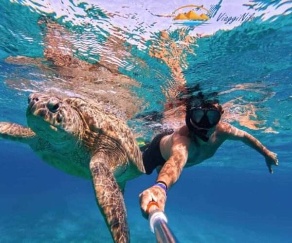 Giornata all'isola Mahmya con Snorkeling da Hurghada ViaggiNilo