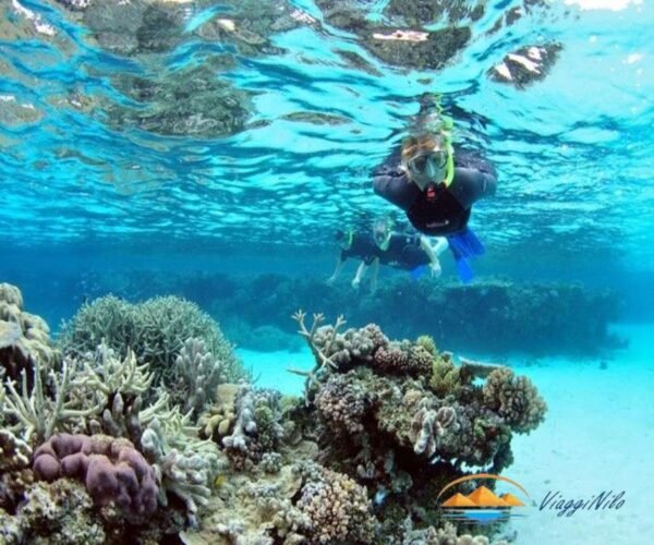 Giornata all'isola Mahmya con Snorkeling da Hurghada ViaggiNilo(1)