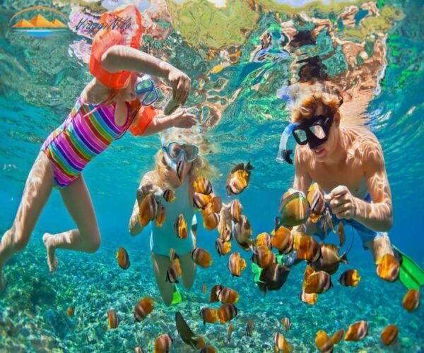 Giornata all'isola Mahmya con Snorkeling da Hurghada ViaggiNilo(3)