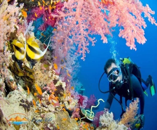 Giornata di immersioni a Hurghada ViaggiNilo(2)