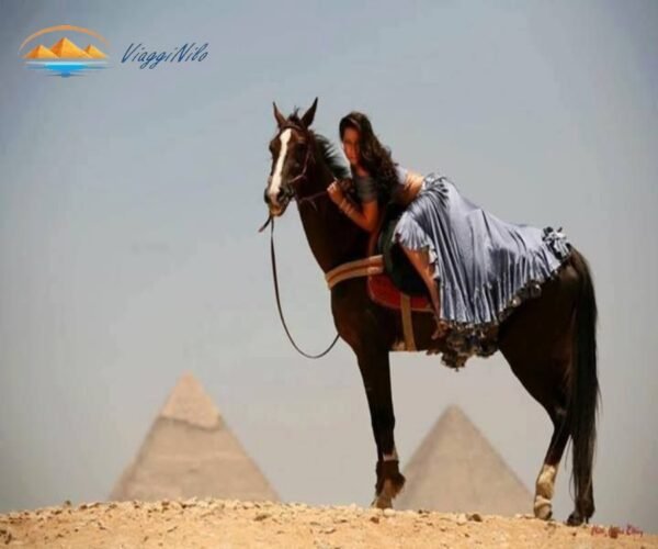 Giro in Cammello o Cavallo alle Piramidi di Giza Viagginilo(2)