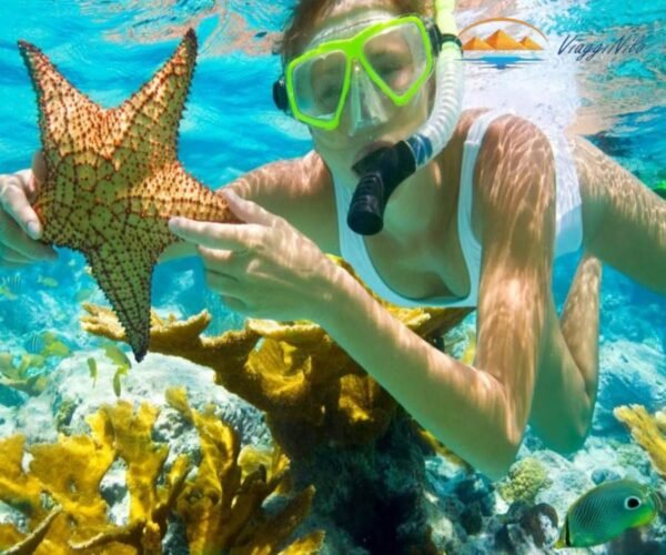 Giro in barca a Sataya Reef Snorkeling con i delfini ViaggiNilo(2)