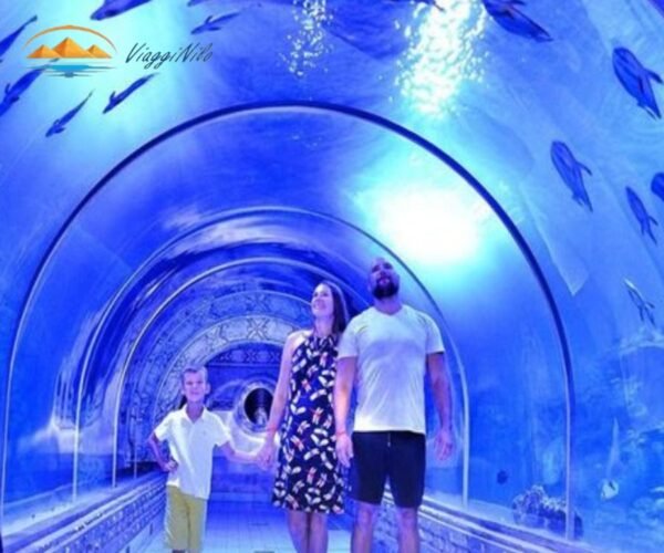 Hurghada Grand Aquarium in un Giorno ViaggiNilo