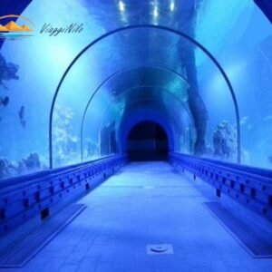 Hurghada Grand Aquarium in un Giorno ViaggiNilo(3)