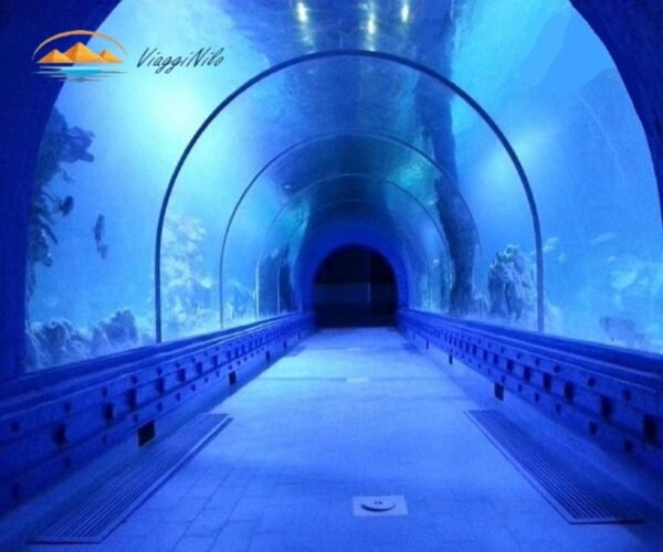 Hurghada Grand Aquarium in un Giorno ViaggiNilo(3)