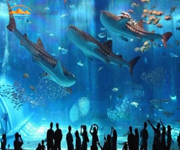 Hurghada Grand Aquarium in un Giorno Viagginilo(2)