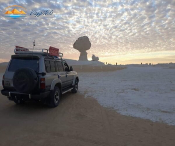 Il deserto bianco e il deserto nero, safari nel deserto dell'oasi di El Bahariya ViaggiNilo(3)