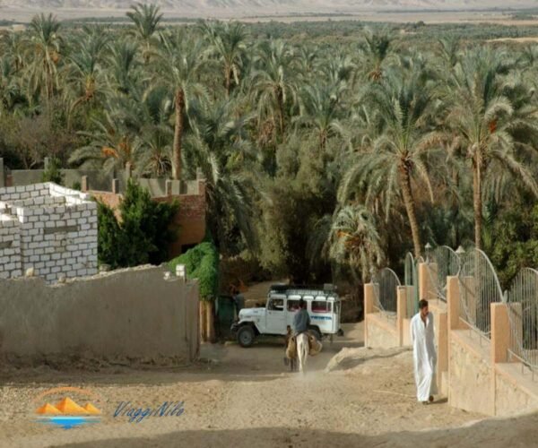 Il deserto bianco e il deserto nero, safari nel deserto dell'oasi di El Bahariya ViaggiNilo(4)