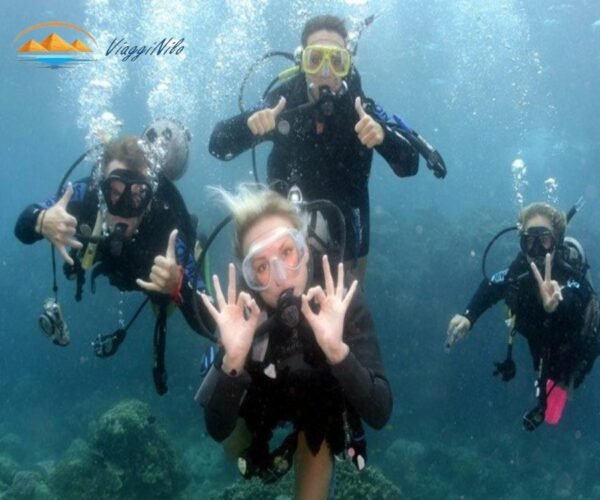 Immersione per principianti in Marsa Alam ViaggiNilo(1)
