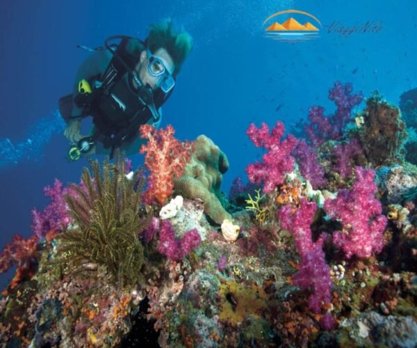 Immersione per principianti in Marsa Alam ViaggiNilo(2)