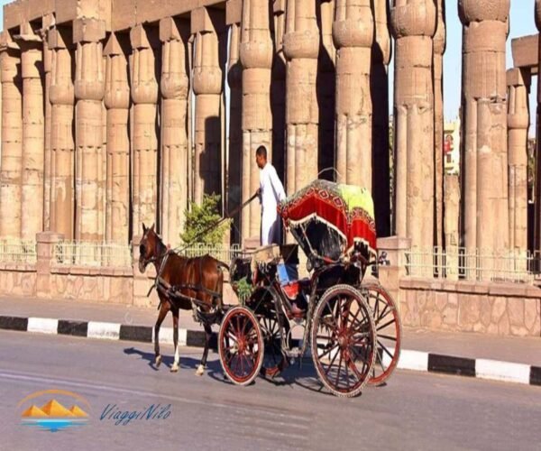 Luxor Tour in Carrozza a Cavalli - Image 4