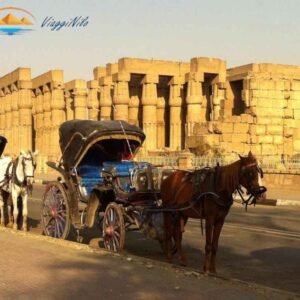 Luxor Tour in Carrozza a Cavalli ViaggiNilo(1)