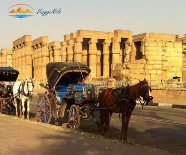 Luxor Tour in Carrozza a Cavalli ViaggiNilo(1)