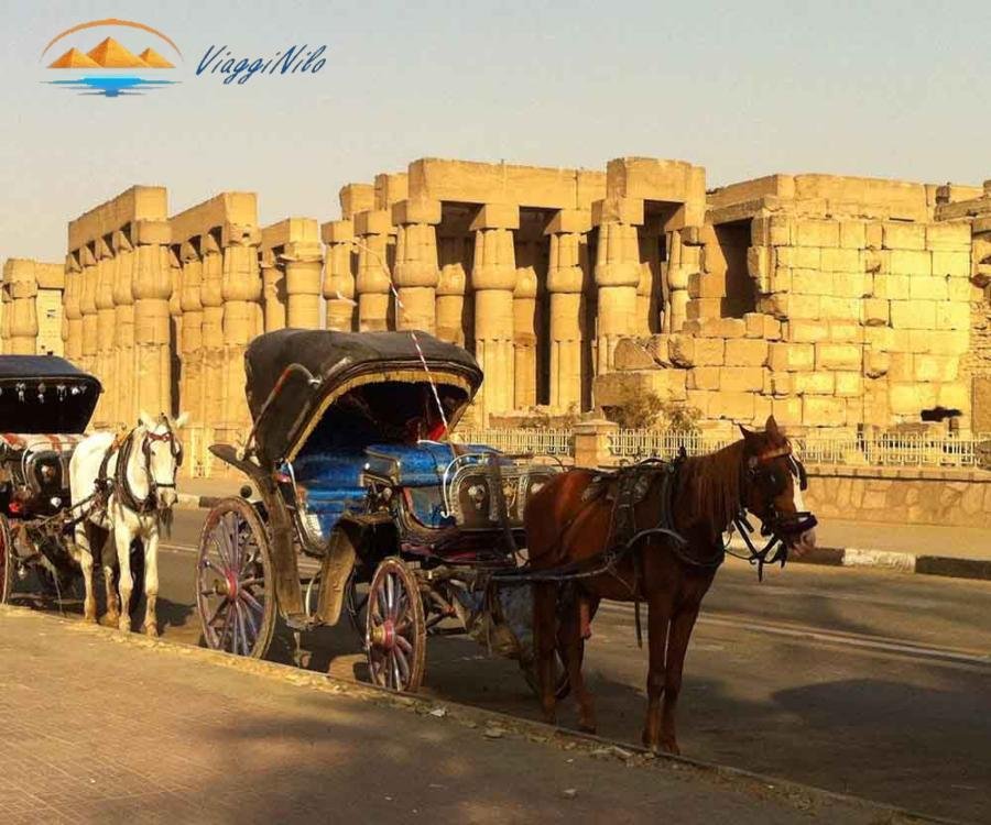 Luxor Tour in Carrozza a Cavalli