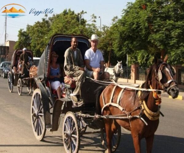 Luxor Tour in Carrozza a Cavalli ViaggiNilo(2)