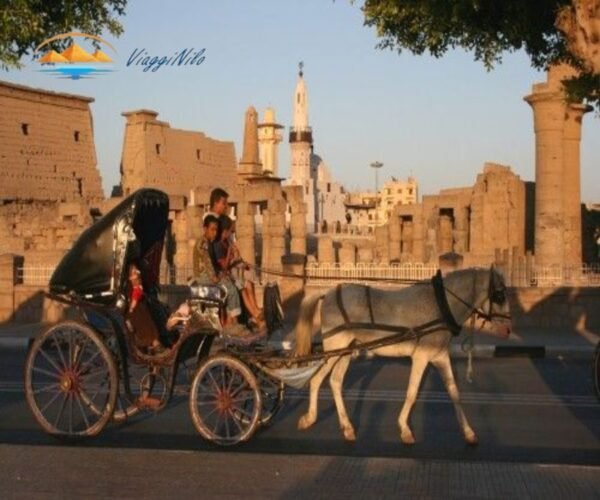 Luxor Tour in Carrozza a Cavalli ViaggiNilo(3)