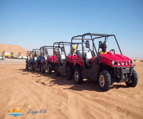 Safari in Buggy in un Giorno ViaggiNilo