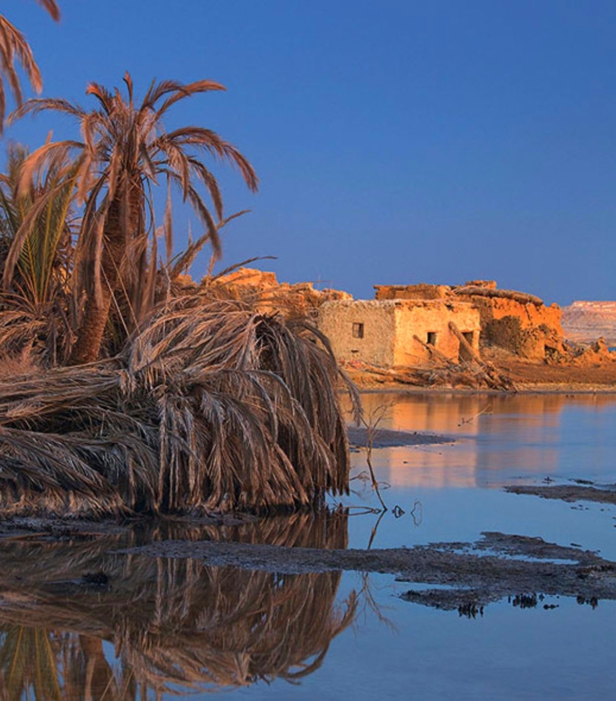 Oasi di Siwa da Alessandria – Viaggio Privato di 3 Giorni