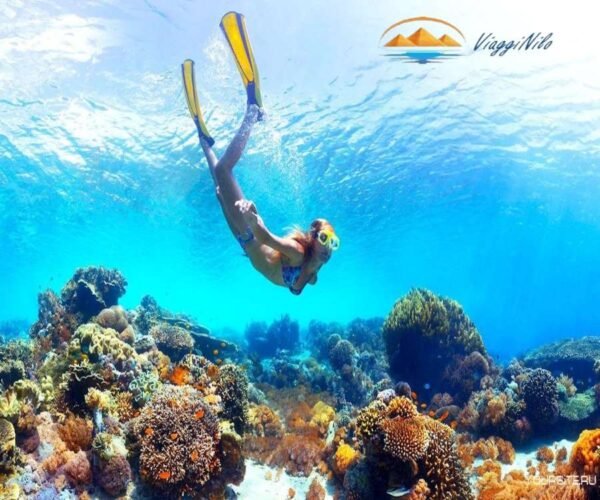 Snorkeling a Orange Bay ViaggiNilo(2)