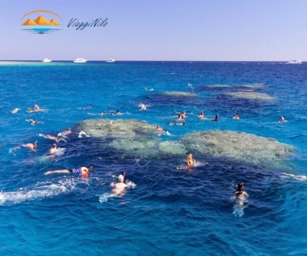 Snorkeling a Orange Bay ViaggiNilo(4)