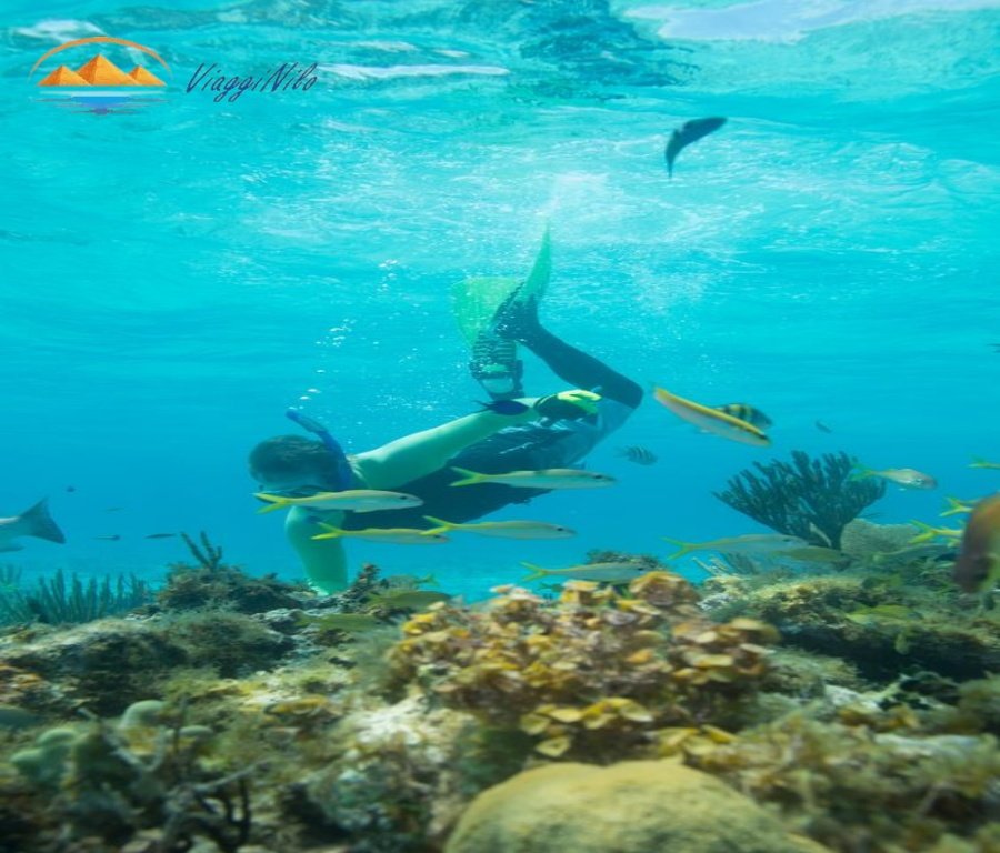 Snorkeling nell’Isola di Tiran