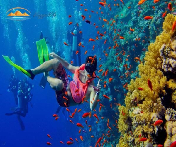Snorkeling sull'isola di Hula Hula da Hurghada ViaggiNilo