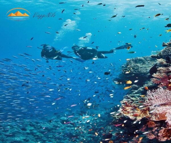 Snorkeling sull'isola di Hula Hula da Hurghada ViaggiNilo(1)