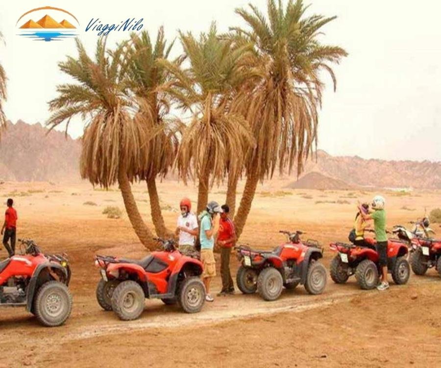 Super safari il programma completo nel deserto di Marsa Alam