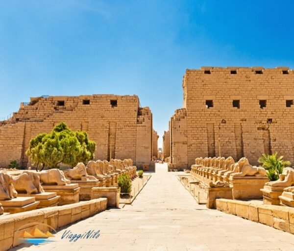 Un Giorno a Luxor da Sharm El Sheikh in aereo ViaggiNilo