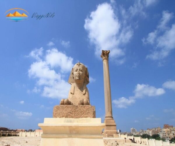 Viaggio ad Alessandria da Marsa Matrouh ViaggiNilo(1)