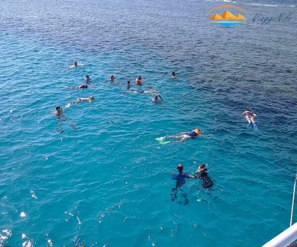 Viaggio di snorkeling all'isola Magawish da Hurghada ViaggiNilo