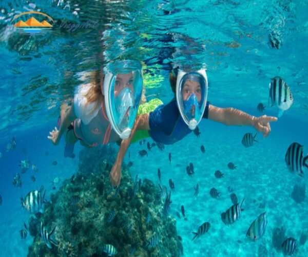 Viaggio di snorkeling all'isola Magawish da Hurghada ViaggiNilo(1)