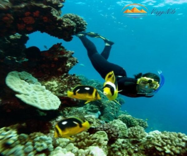 Viaggio di snorkeling all'isola Magawish da Hurghada ViaggiNilo(2)
