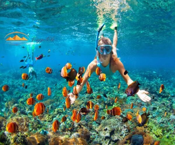 Viaggio di snorkeling all'isola Magawish da Hurghada ViaggiNilo(3)