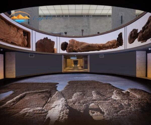Visita al Museo Egizio e al Museo della Civiltà Egizia (NMEC) ViaggiNilo(3)