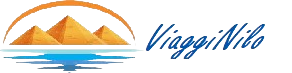 viagginilo logo