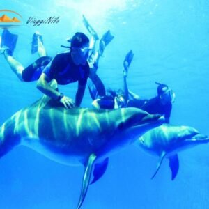 gita di snorkeling nella casa dei delfini ViaggiNilo(2)