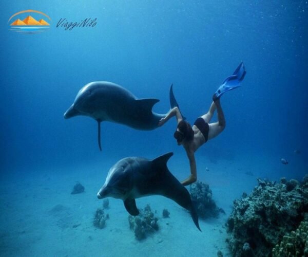gita di snorkeling nella casa dei delfini ViaggiNilo(3)