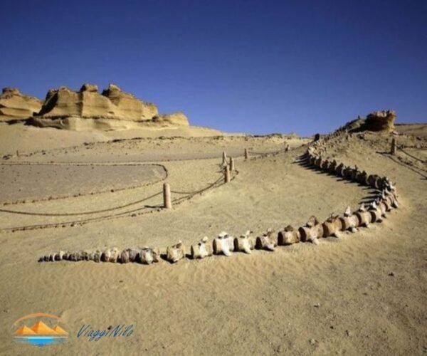 gita di un giorno a El Fayoum e Wadi El Rayan dal Cairo ViaggiNilo(2)