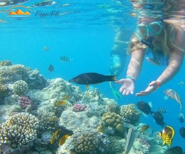 una gita di un giorno sull'isola paradisiaca ViaggiNilo(3)