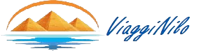 viagginilo logo